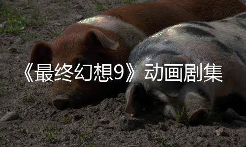 魔导想9最终幻作中集确 聚焦黑动认制画剧士