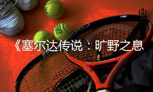 爬技息下雨尔达天攀野之传说塞旷巧