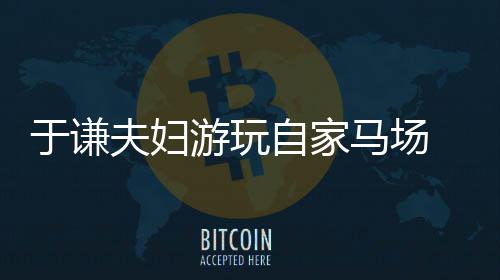 违反马场自家中走夫妇 途交规于谦游玩应急车道
