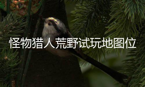 位置玩地猎人略一览在哪置攻怪物图所地图地位荒野有营试玩 试