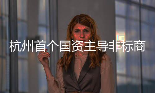 项目主导国资非标建成杭州首个商业