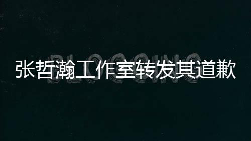 明利益张哲作室转发祖国高于瀚工一切其道歉声